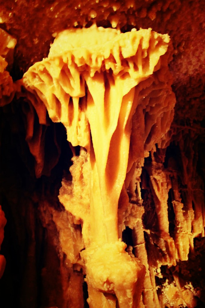 Grotta del Trullo Putignano